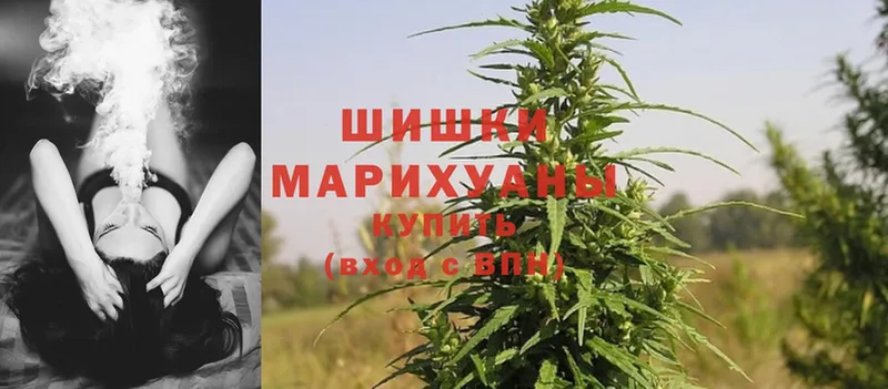 Бошки Шишки White Widow  даркнет наркотические препараты  Минусинск 